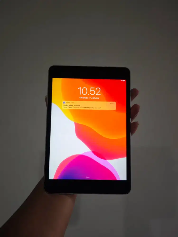 IPAD MINI 4 128 GB WIFI