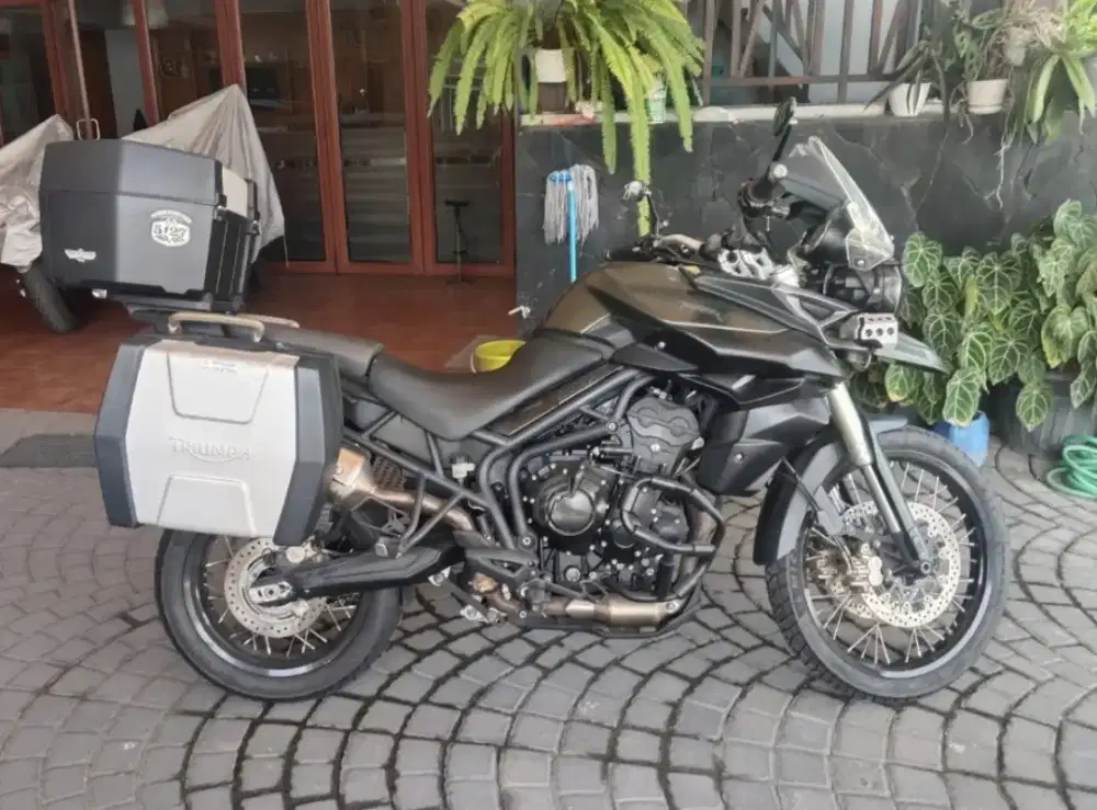 Triumph Tiger 800 2013 full paper