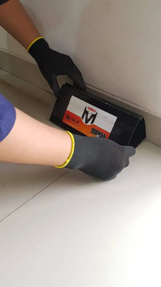 Perangkap Tikus Balikpapan