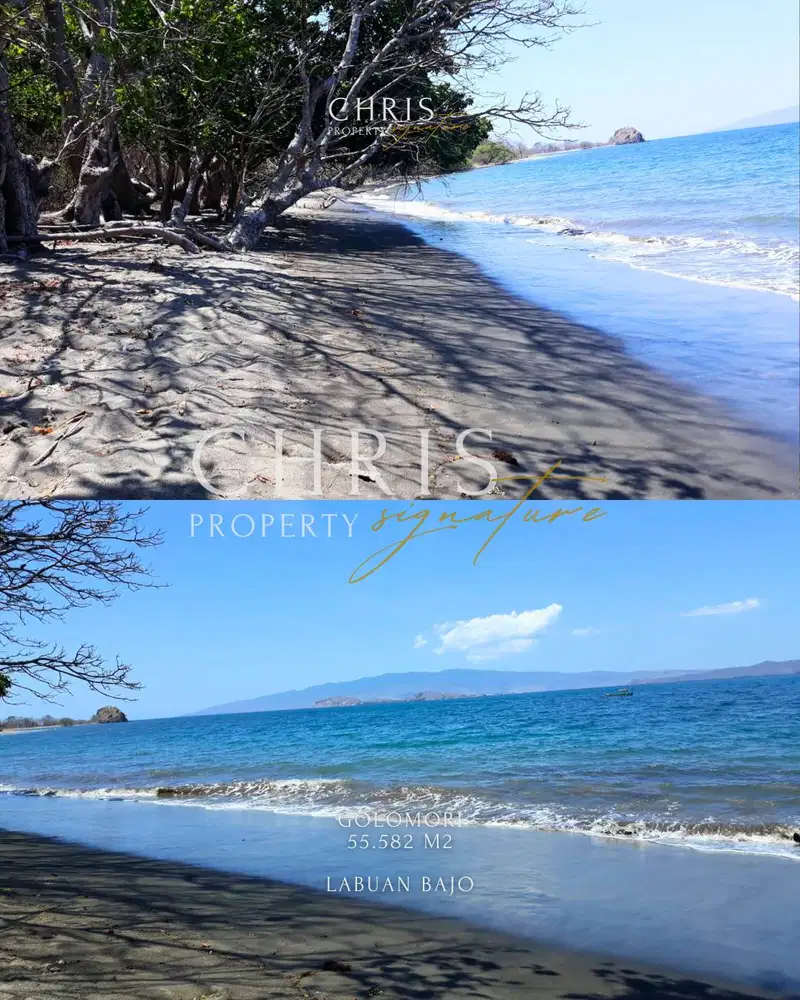 Tanah Dijual Labuan Bajo SHM Golomori 55.582 m² | Cocok Untuk Investas