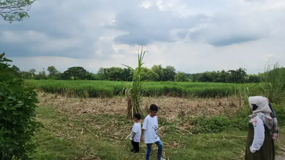 DIJUAL TANAH SHM DI SRAGEN