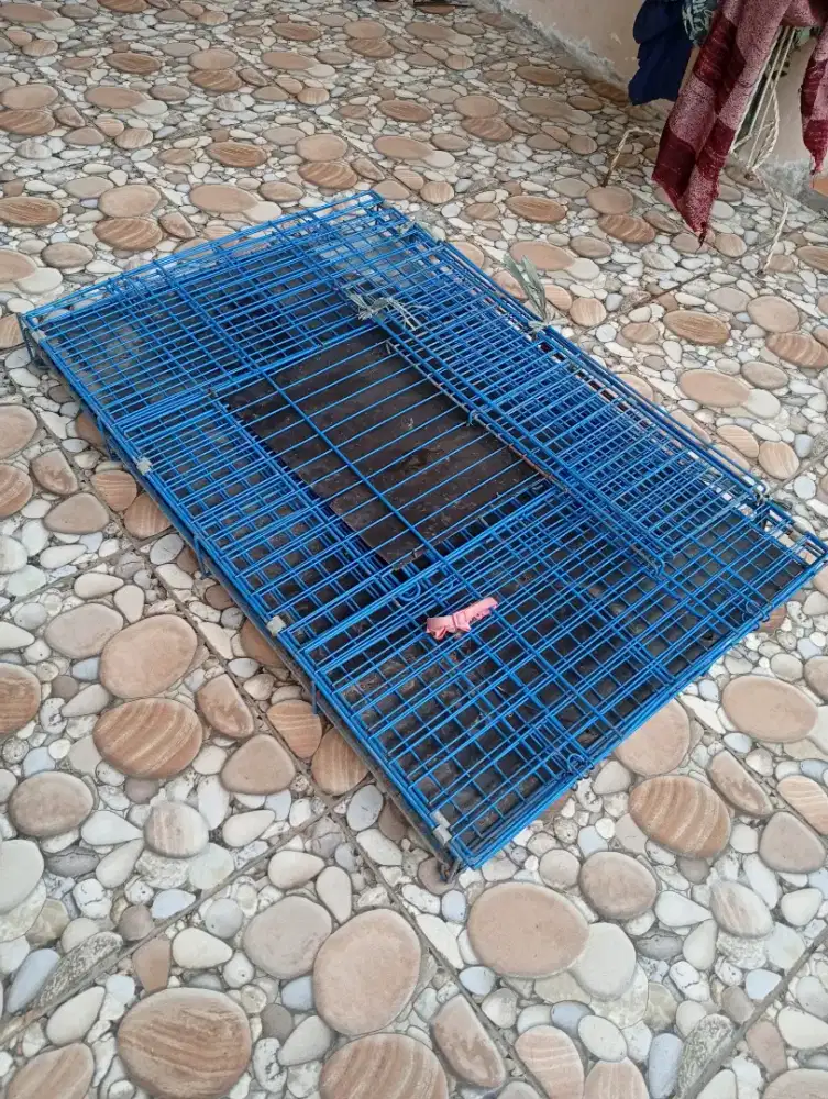 Kandang kucing Lipat XXL 90x60x70 2 tingkat