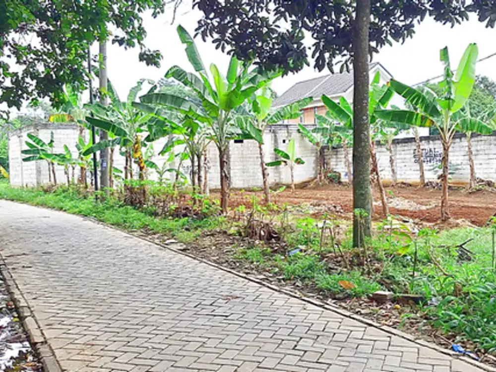 Tanah Murah SHM Dekat Pintu Tol Rawa Buntu
