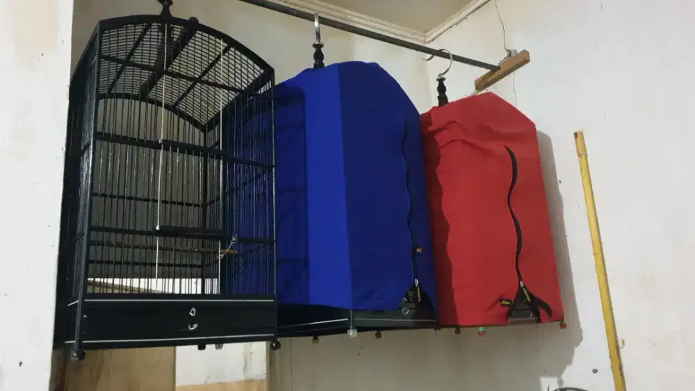 Sangkar burung kenari,cungkok,jenggot burung kicauan