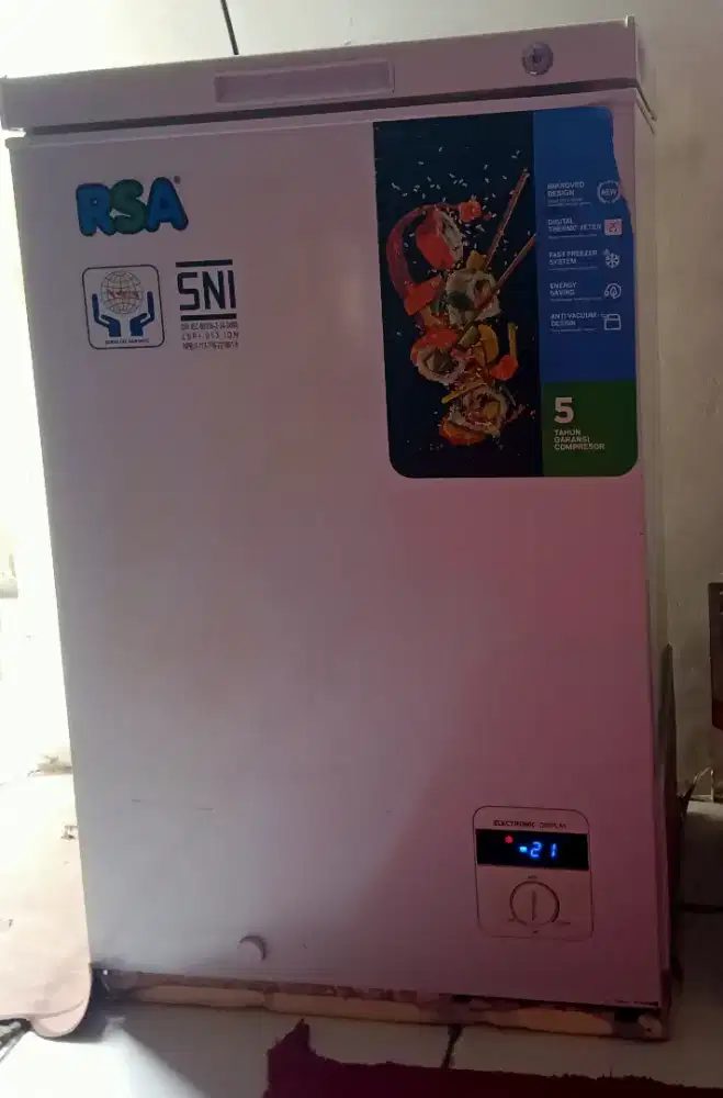 Freezer Box RSA 100liter