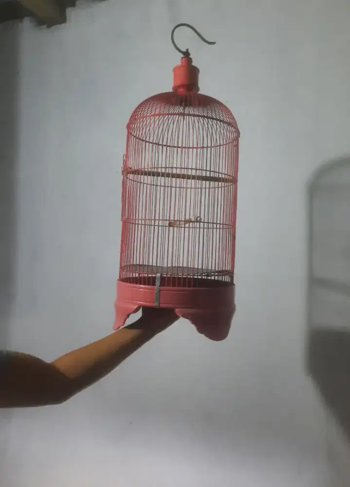 Sangkar lovebird No karat fulset