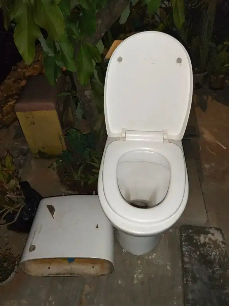 Closet sericite normal