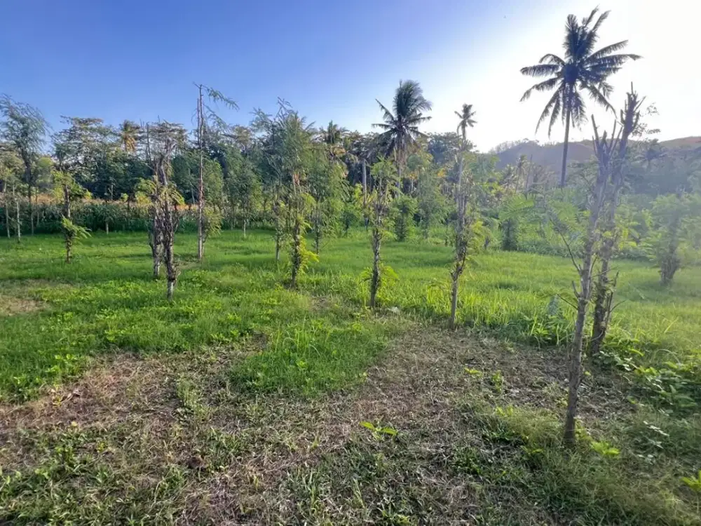 Tanah kapling flat dan view laut prabu areguling dekat Kuta Mandalika