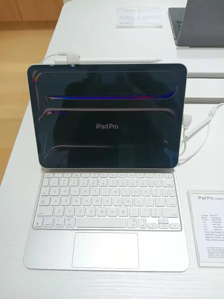 iPad Pro ( model 11 inci ) 256gb