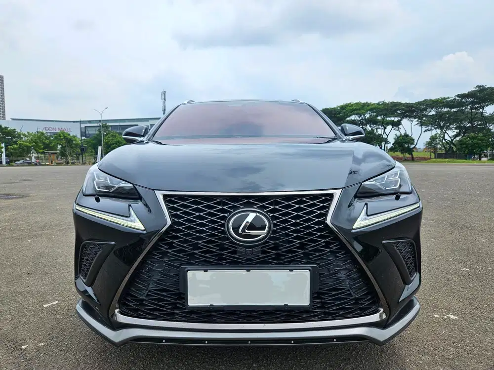 HOT ITEMS ! TANGAN PERTAMA ! LEXUS NX300 FSport F Sport 2017 / 2018