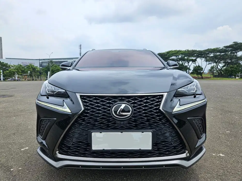 Lexus NX300
F-Sport 2.0 2017 / 2018