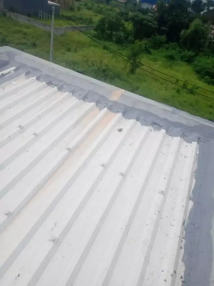 Tukang dan perbaikan atap bocor