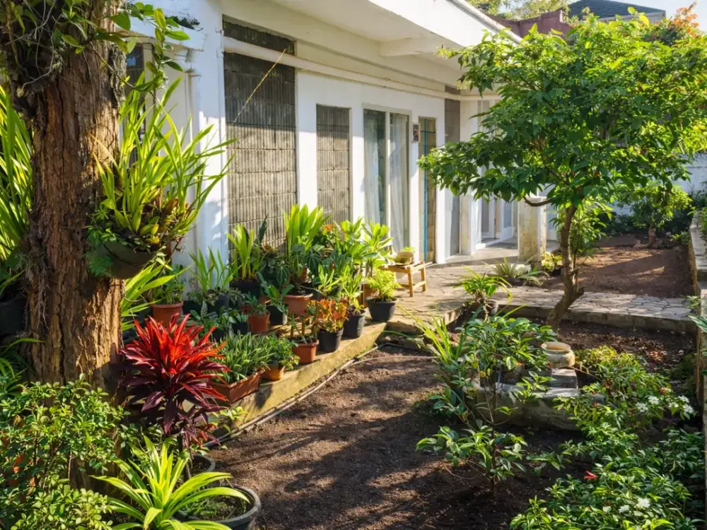 Rumah Termurah di Area Dago Cocok Untuk Hunian dan kosan dekat kampus polman Itb sheraton Bandung