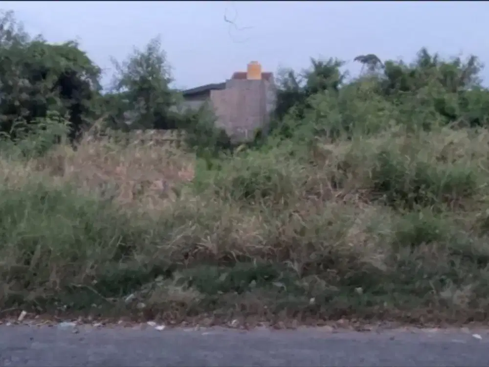 TANAH KAVLING di Jalan Utama, jalan kembar Perum GRIYO MAPAN SENTOSA, Tropodo STRATEGIS BOULEVARD