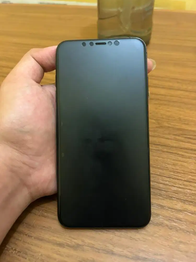 iPhone XS Max 256 GB