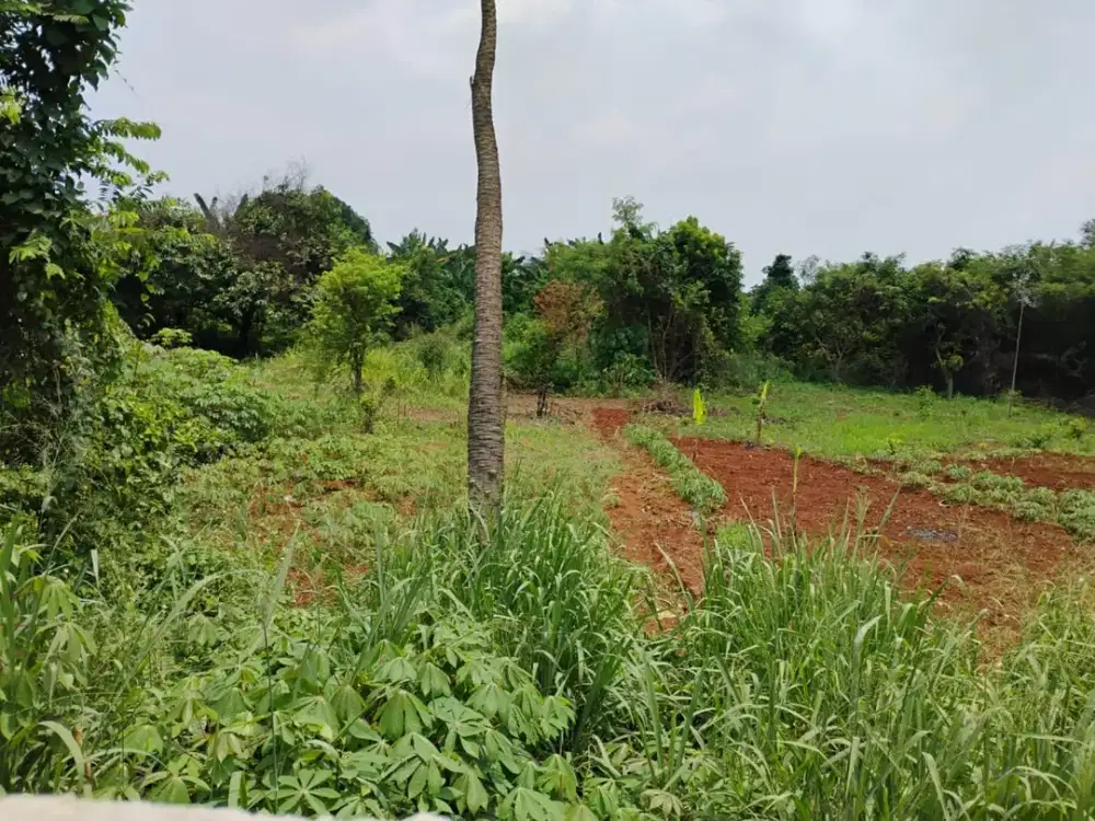 Kavling Jl Kamal Raya Kel Tegal Alur Kec Kalideres Jakbar S230