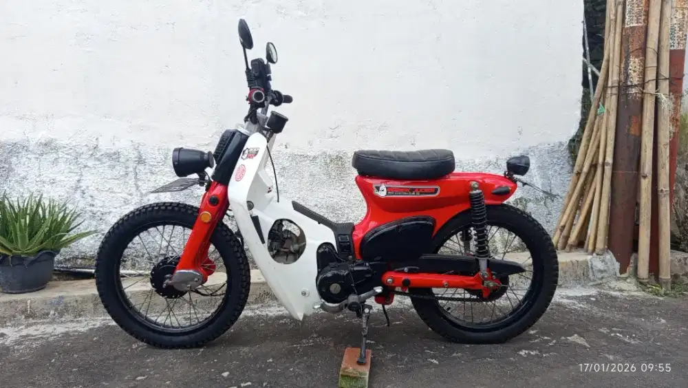 Supra Fit custom Choppy Cub