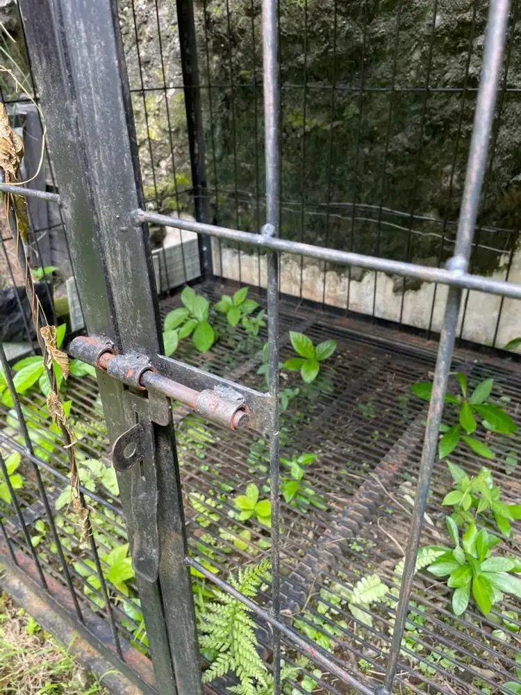 Jual Sangkar Peliharaan