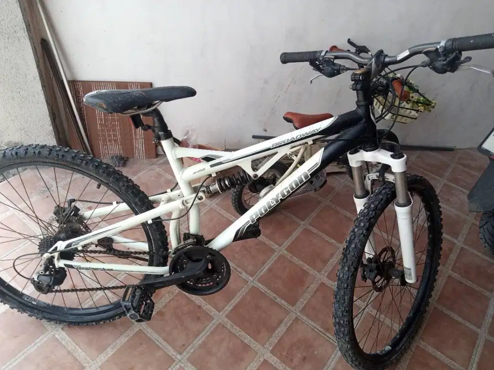 POLYGON BROADWAY 3.0