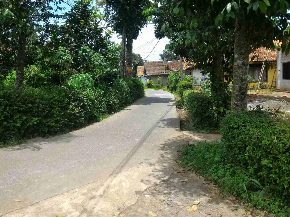 Tanah Murah Lokasi Emas Bojonggede Dekat Tol & Stasiun