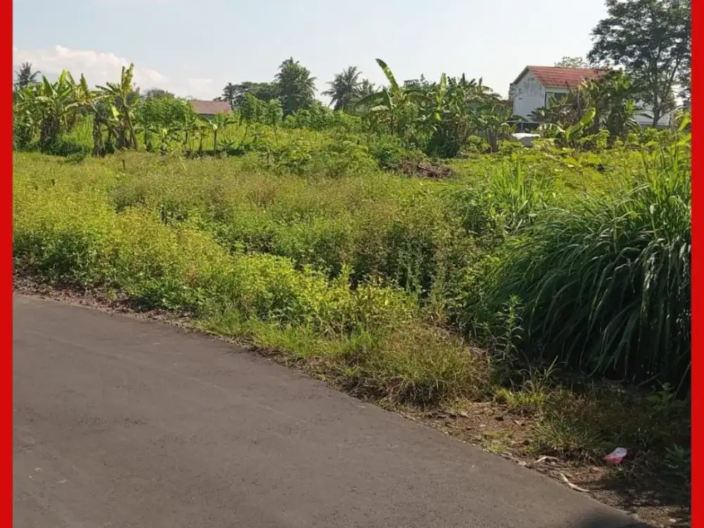 Tanah Yogyakarta Sleman Area Kaliurang Km 10 Siap AJB