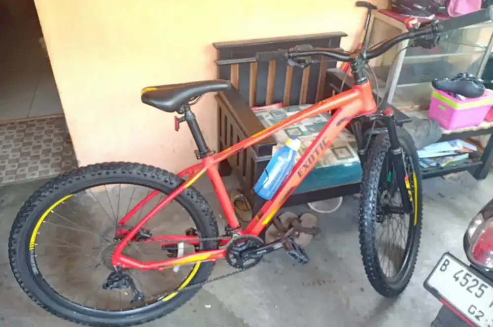 Sepeda gunung EXOTIC original