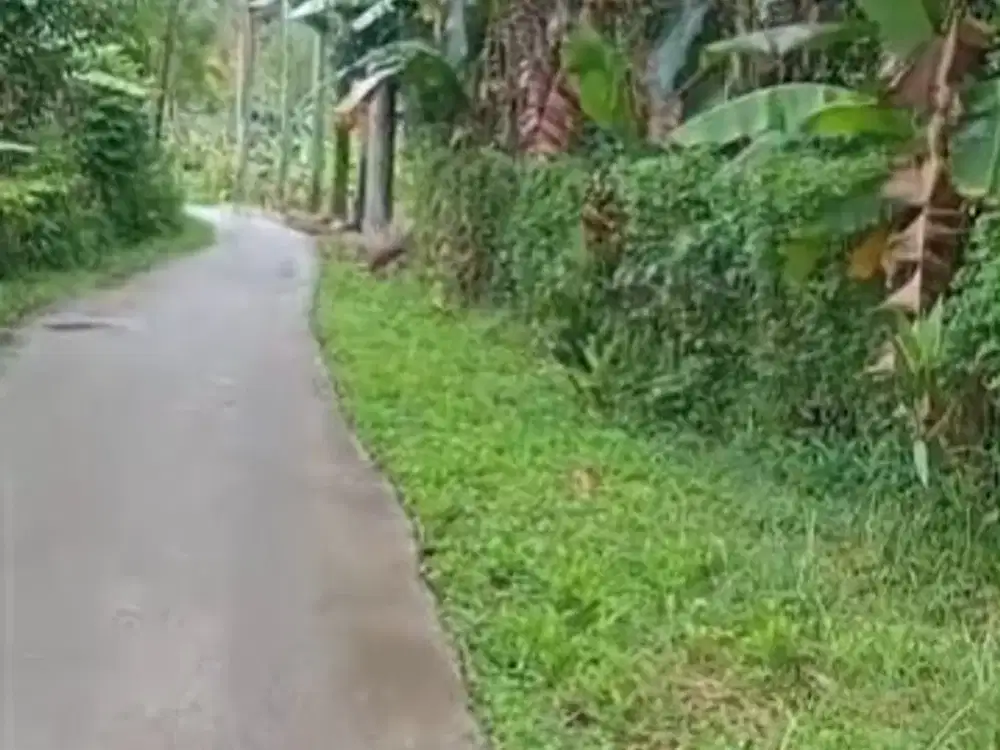 Dijual Tanah 1,5 Hektar di Rumpin, Bogor