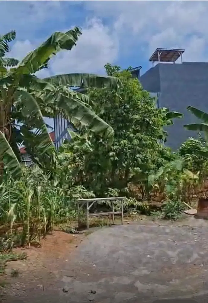 TANAH BULUSAN DEKAT KAMPUS UNDIP TEMBALANG SEMARANG