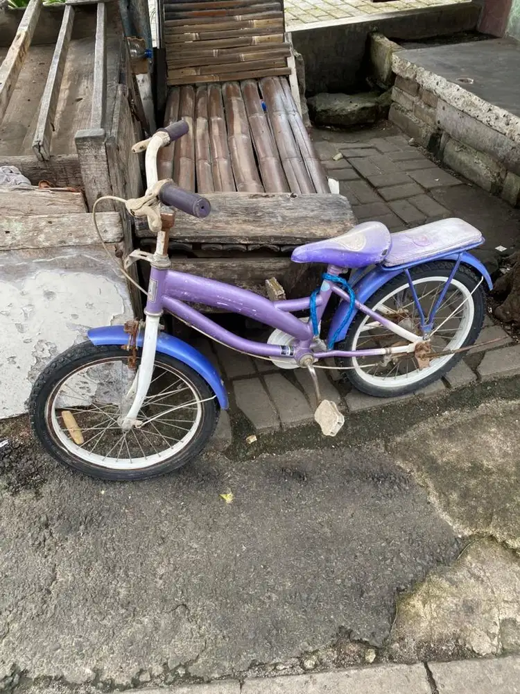 Jual sepeda second 17 inc
