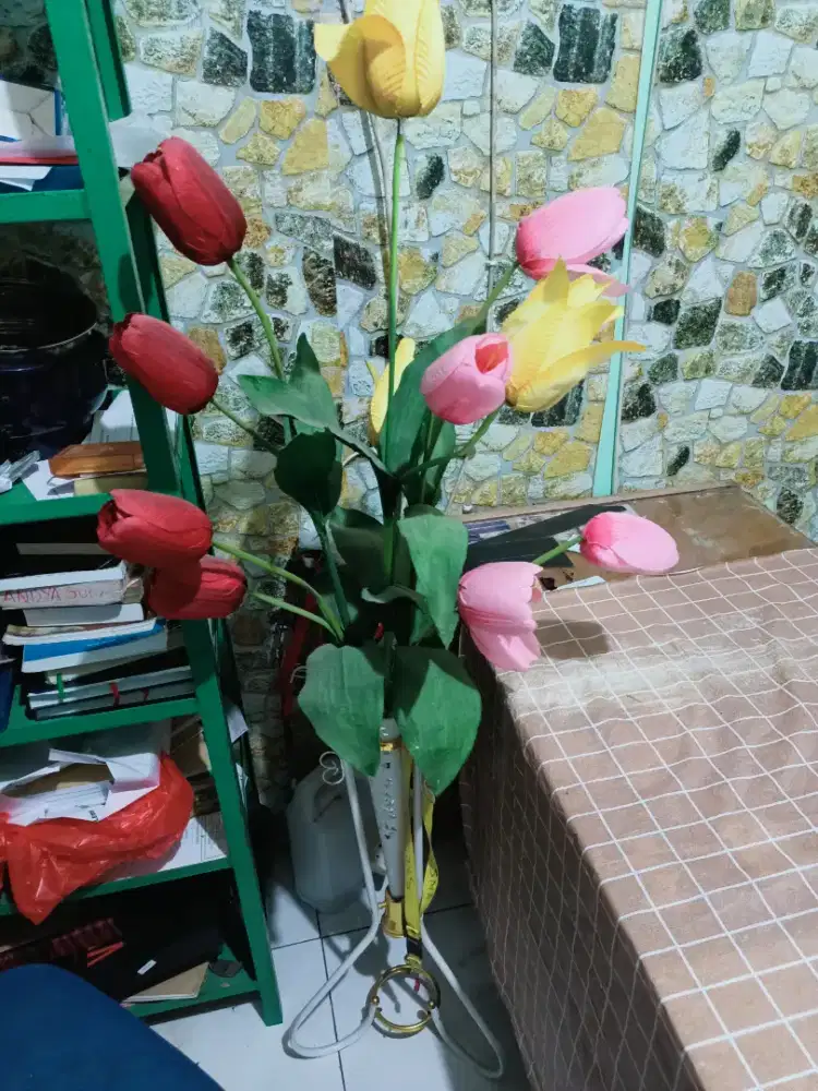 bunga tulip warna kuning dan pink