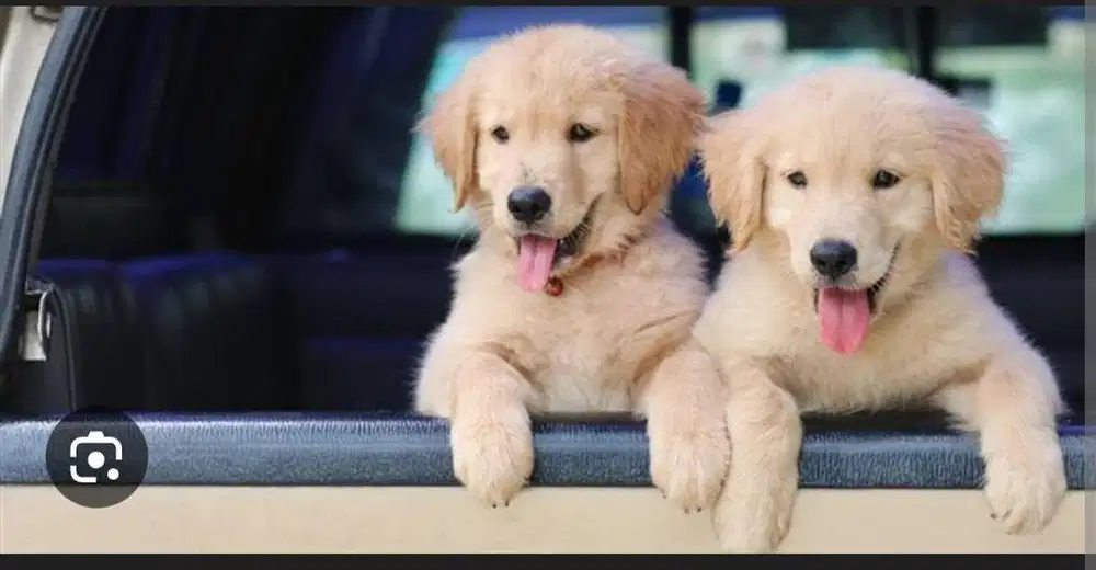 Cari art lelaki umur 25-28th yang bisa kerja menginap Jobdesk beberes