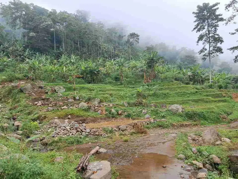 TANAH SAWAH & DARAT ASRI SEJUK  DI SUKAMAKMUR