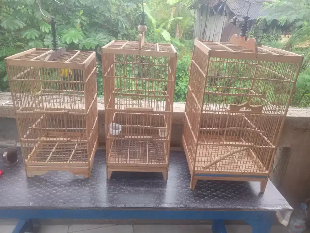 Sangkar murah tp ga murahan