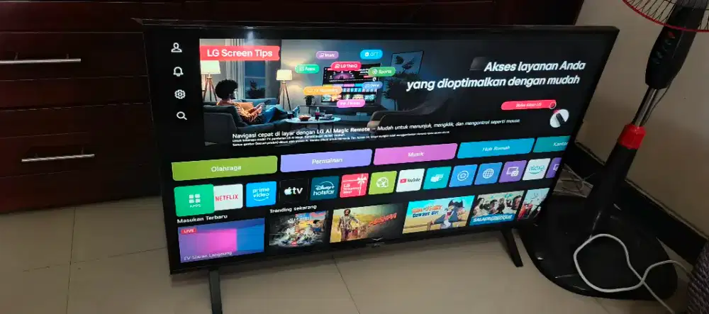 Smart TV LG 43 Inc