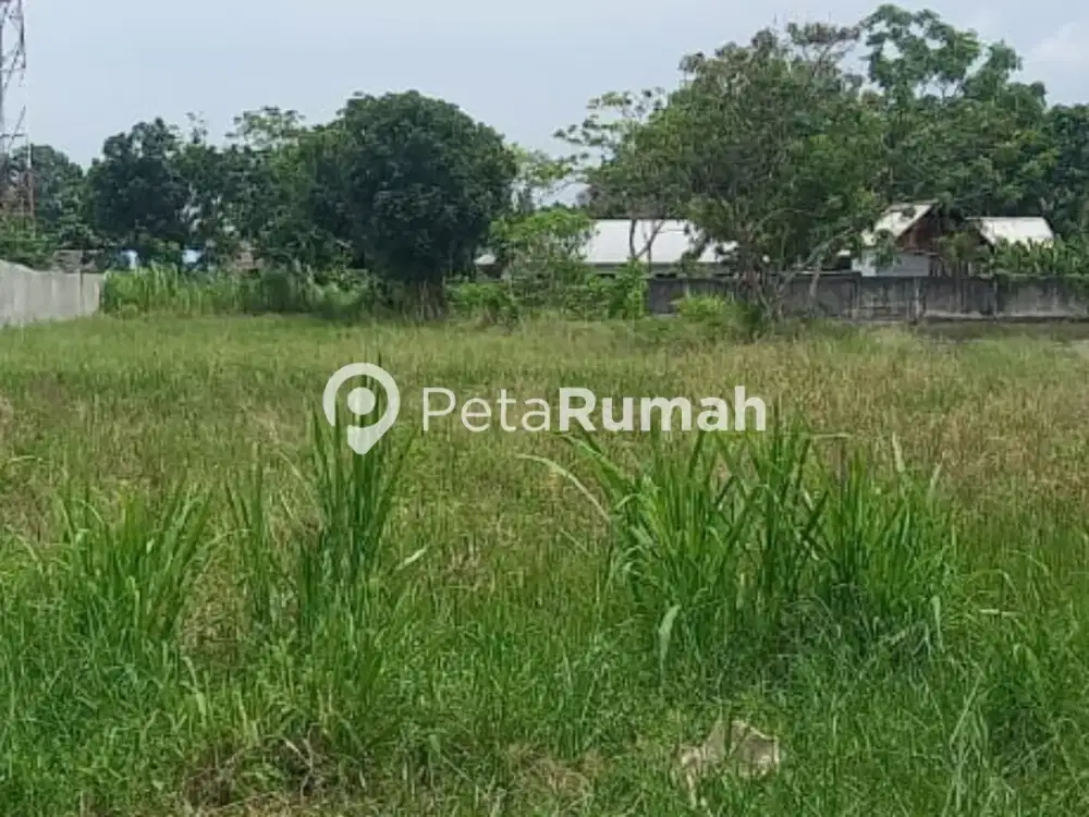 DIJUAL TANAH JALAN M YUSUF JINTAN - DAERAH BAGAN PERCUT (DEWI NATALIA)