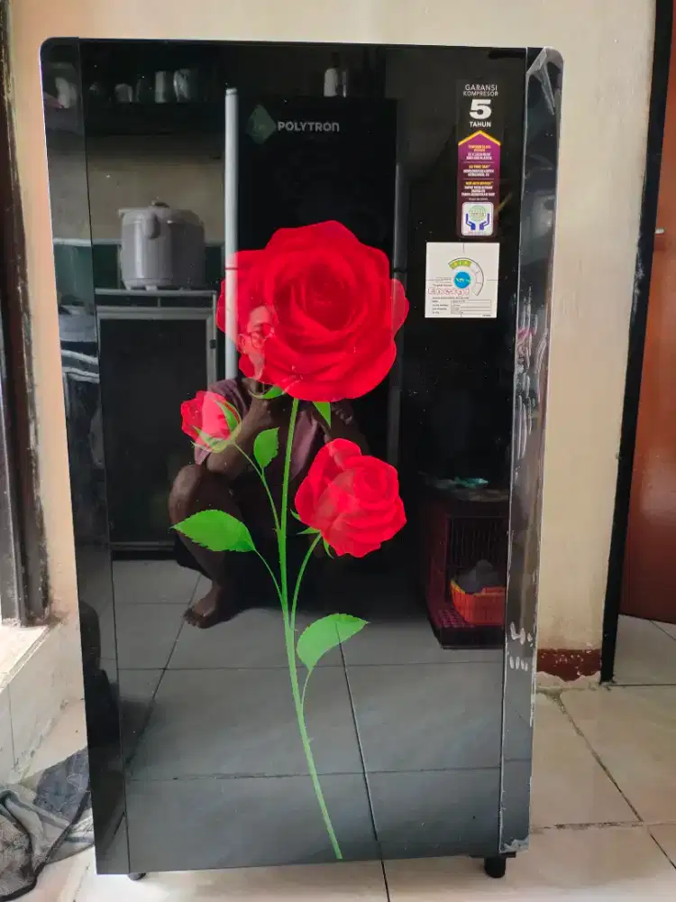 kulkas Polytron 1 pintu