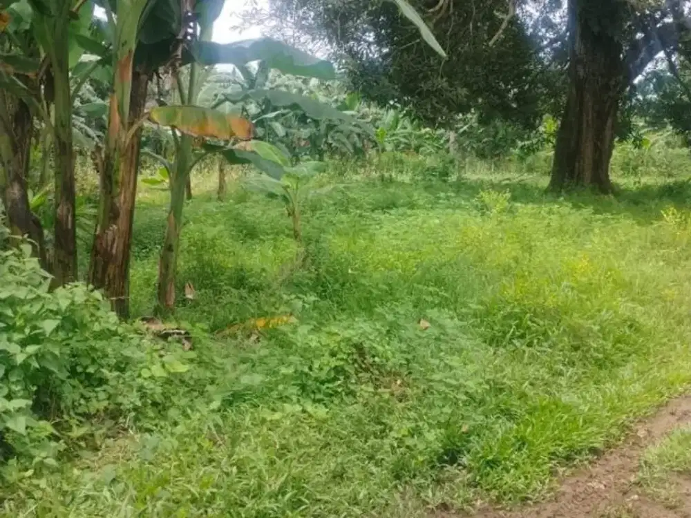 Dijual Tanah Gowa Sekitar Jalan Pattallassang Samata