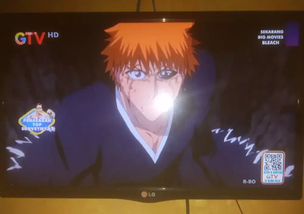 TV led 24 in merk LG NORMAL