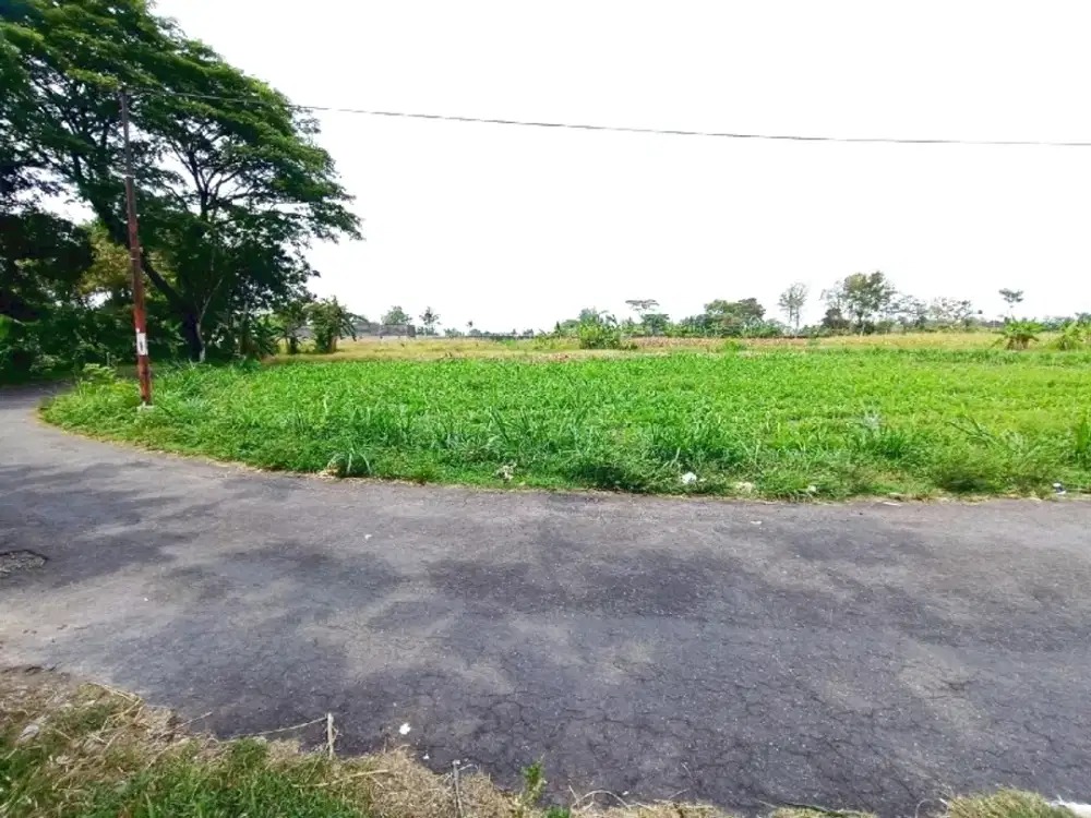 Tanah Strategis Dekat Pasar Rejodani