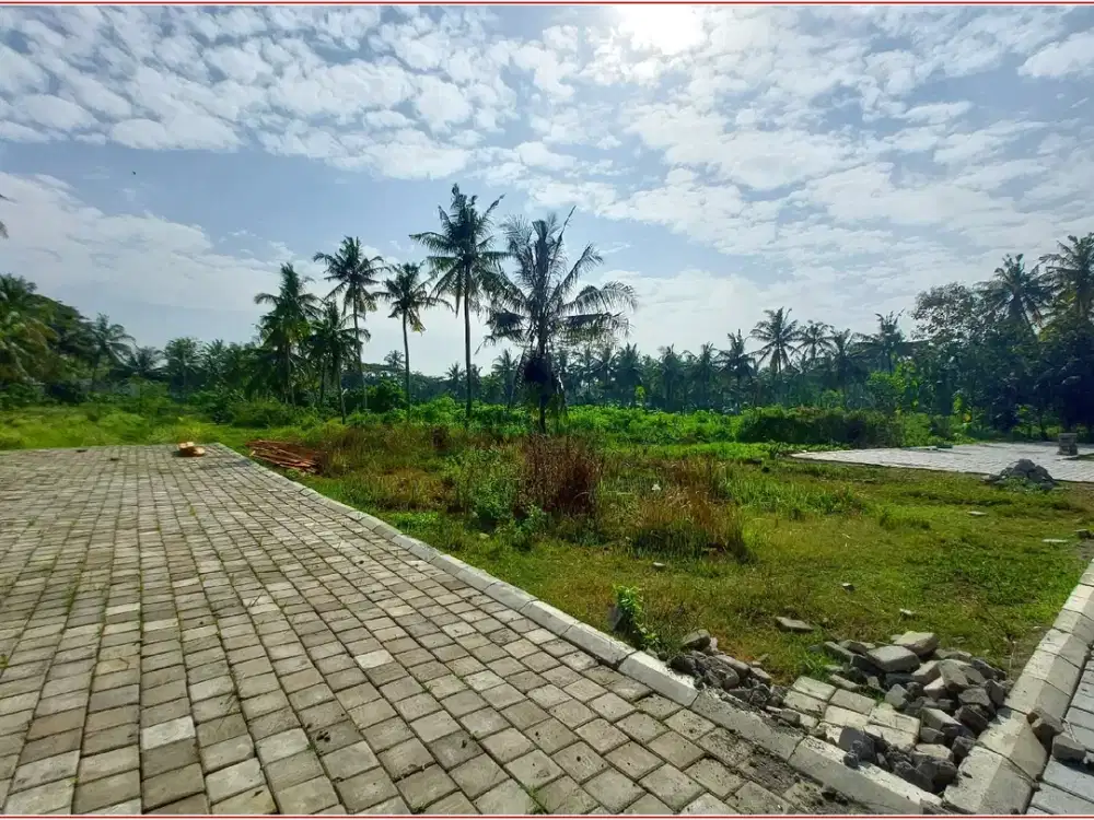 Tanah Murah 100 Jt-an di Tawangsari Dekat Pengadilan Agama Wates