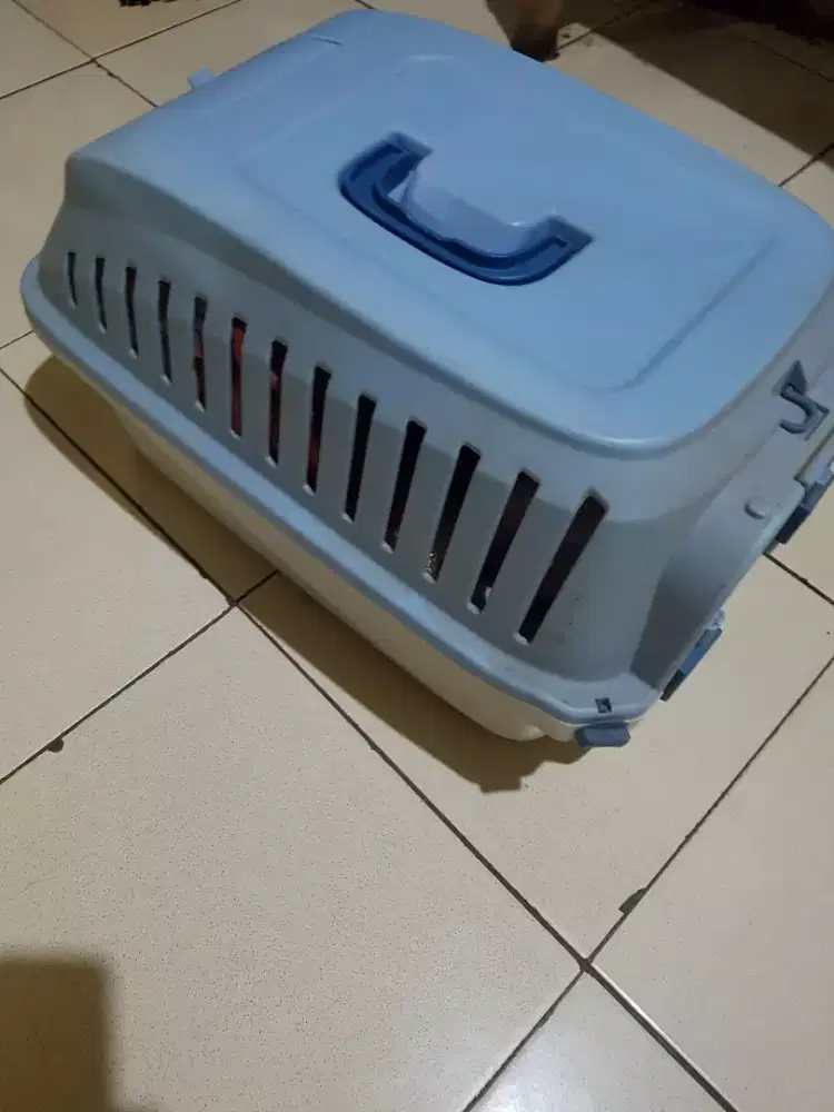 Pet Cargo ( Kennel Box)