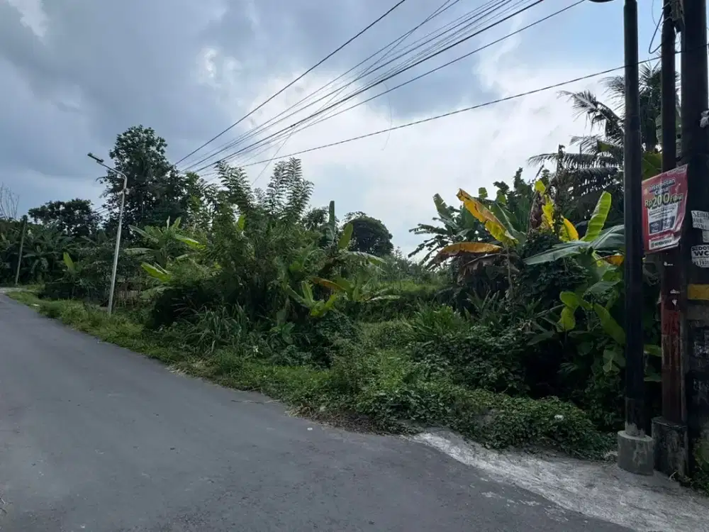 Tanah Sleman Langsung Pemilim Mangku Jalan Aspal