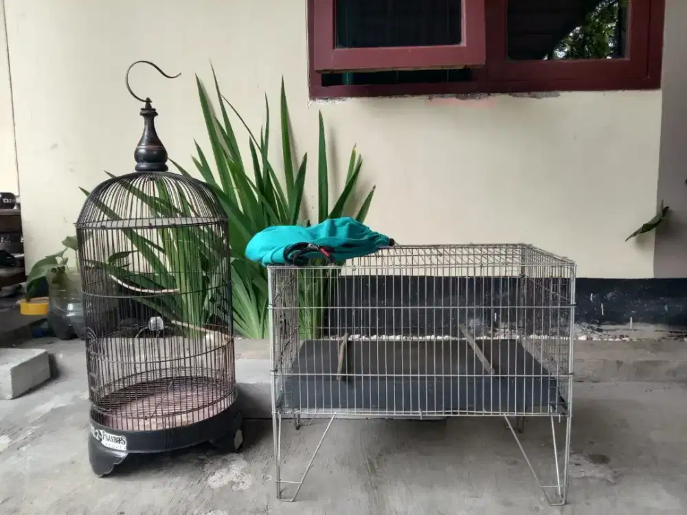 Kandang tebok & mandi