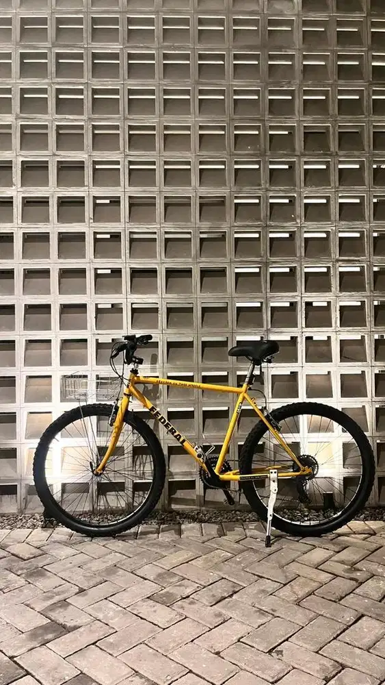 Sepeda Federal StreetCat Size 19