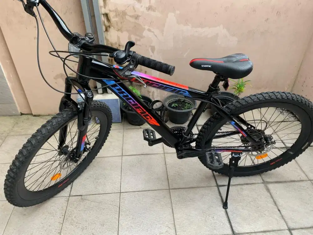 Sepea Gunung Pacific