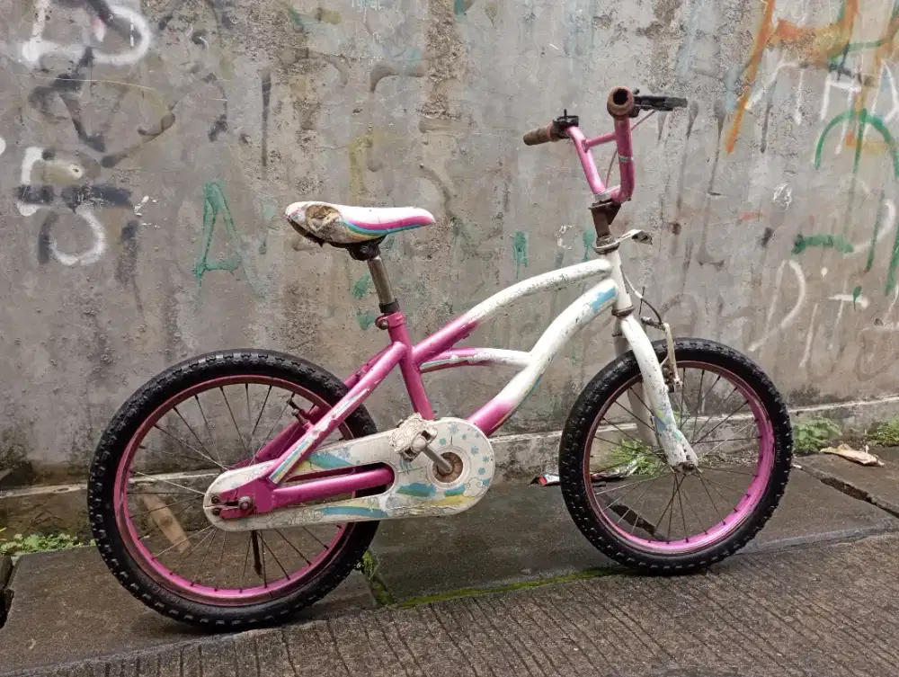 Sepeda anak wimcycle