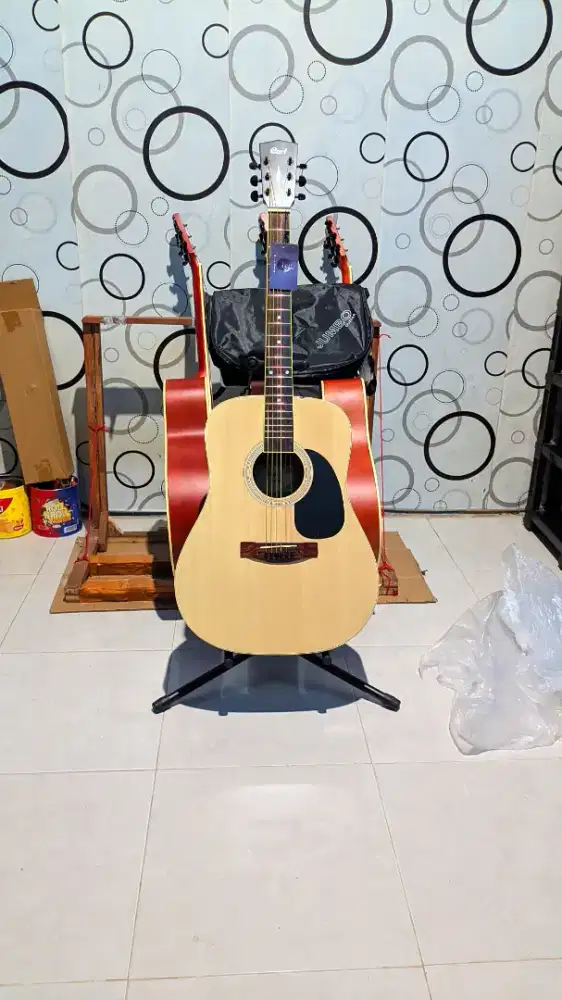 Gitar Akustik Cort Premium Baru