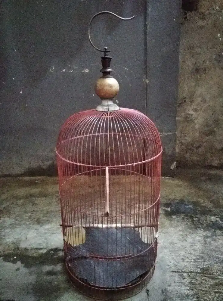 Kandang burung bekas lovebird tanpa tebok