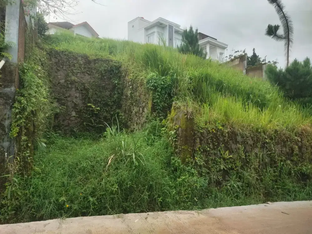 Dijual Tanah di puncak cisarua