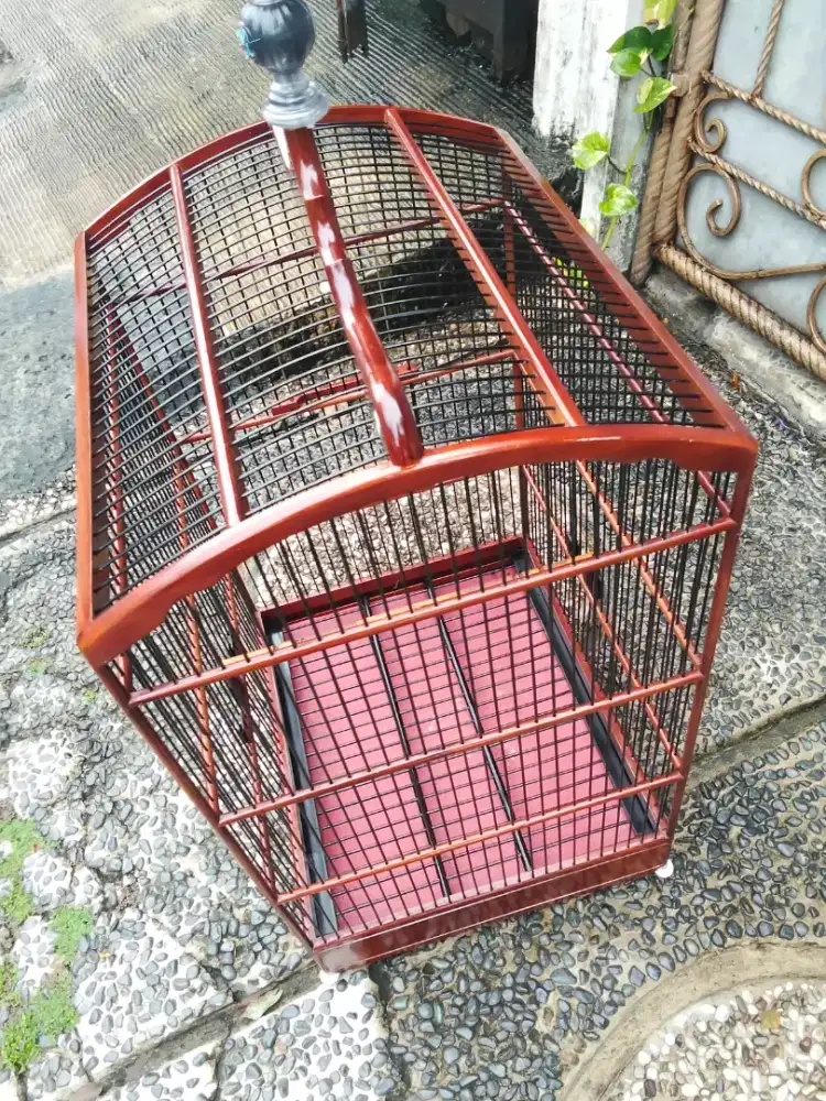 Kandang no 1 Ebod baru